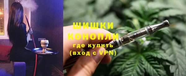 дмт Осинники
