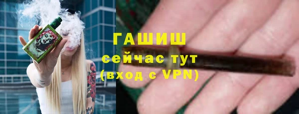 дмт Осинники