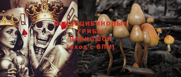 дмт Остров