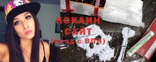 дмт Осинники