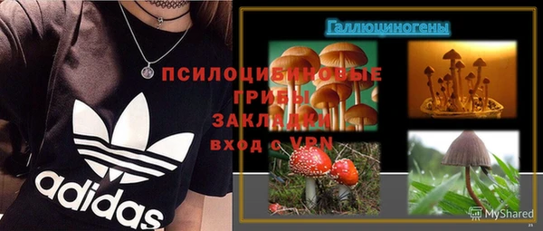 дмт Осинники