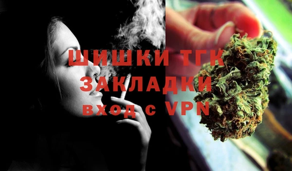 дмт Осинники