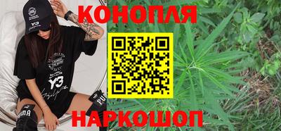 прущие грибы Балаково