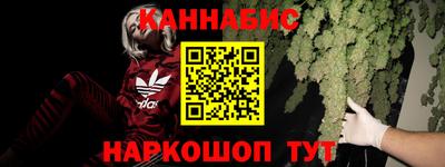 прущие грибы Балаково