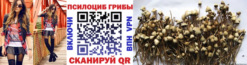 Псилоцибиновые грибы мицелий  Вязьма 