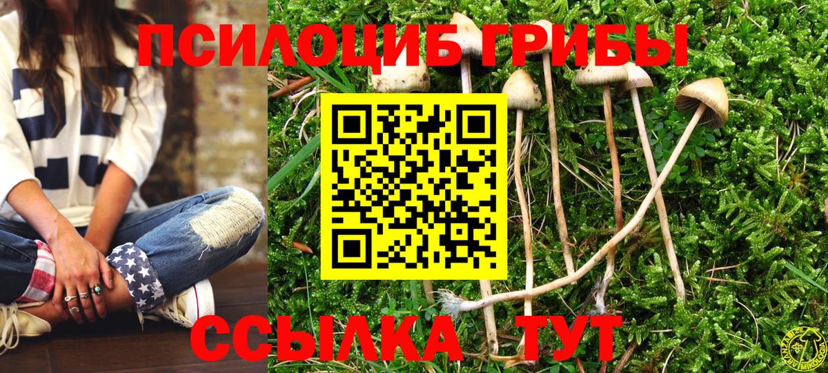 Галлюциногенные грибы Magic Shrooms  Вход с VPN  Вязьма 