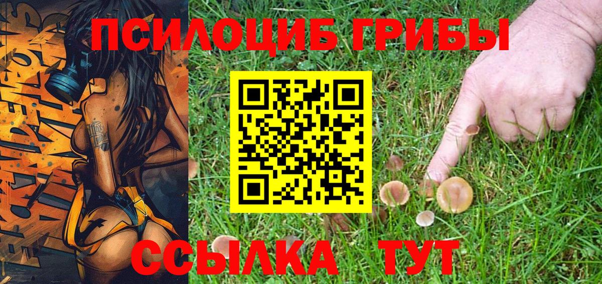 Галлюциногенные грибы Cubensis  Вязьма 