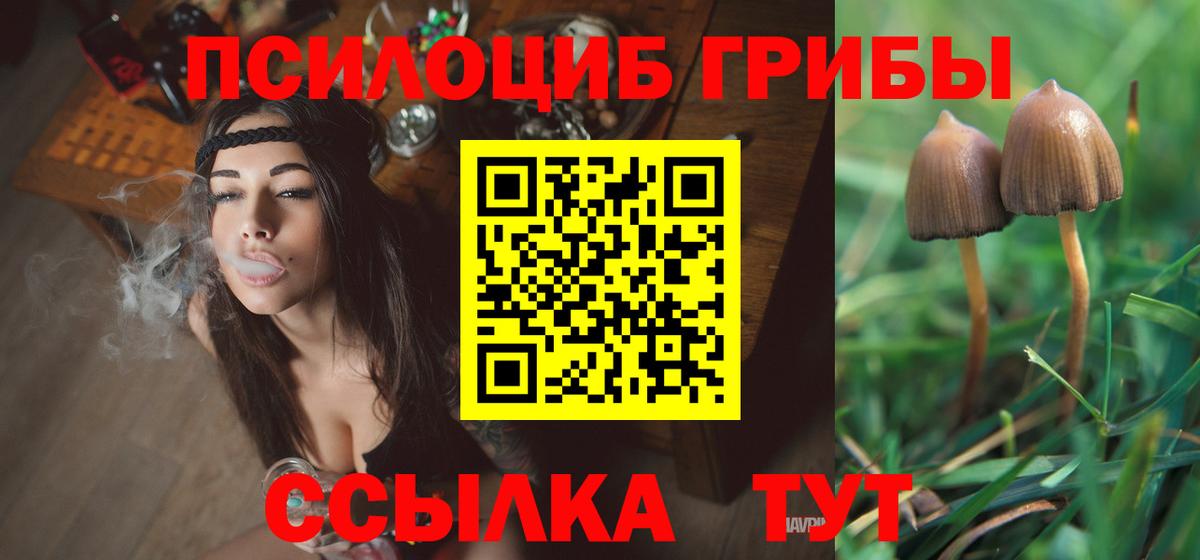 Псилоцибиновые грибы Magic Shrooms Вязьма